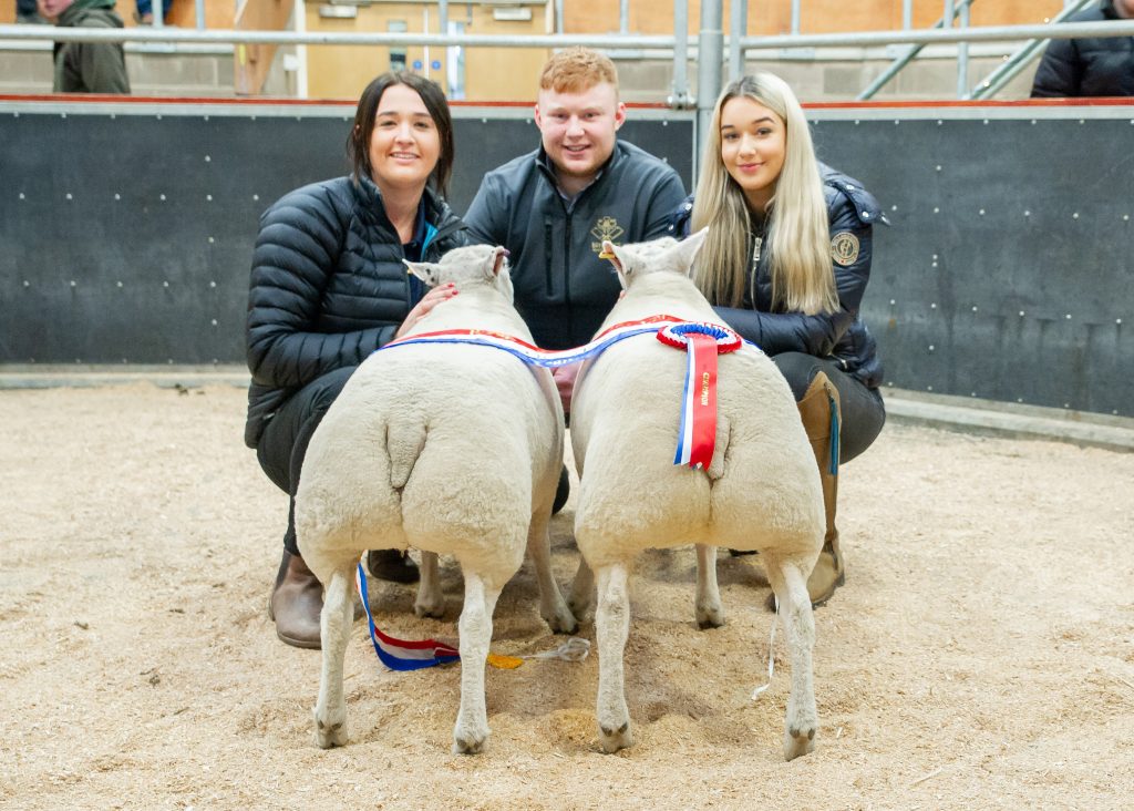 Hopes Auctioneers Wigton