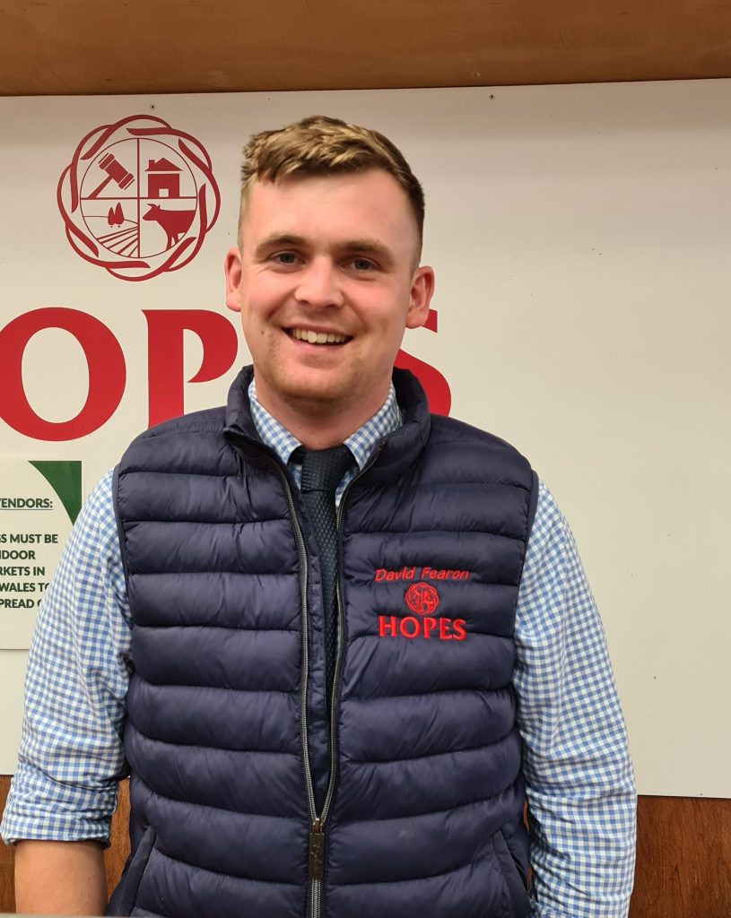 Hopes Auctioneers Wigton